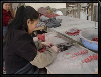 our factory